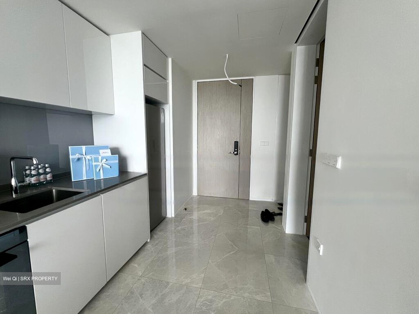 Amber Park (D15), Condominium #462869411